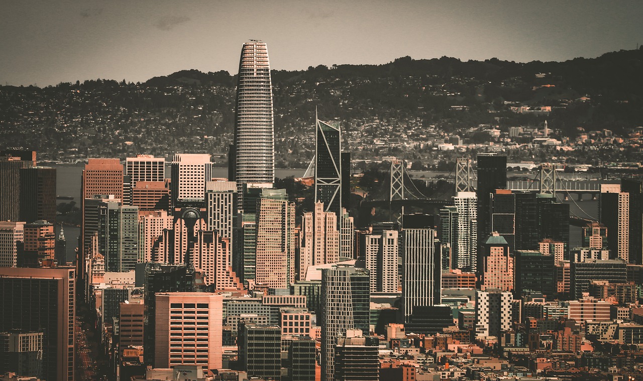 了新的高度 了新的高度