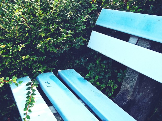 外在標籤 外在標籤