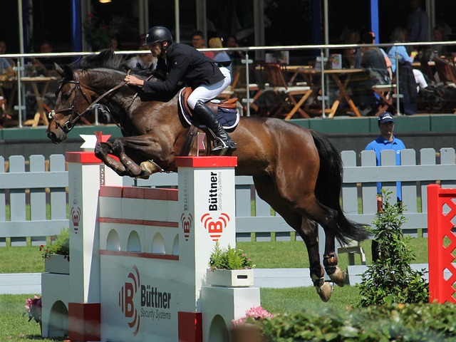 热议这一精 热议这一精