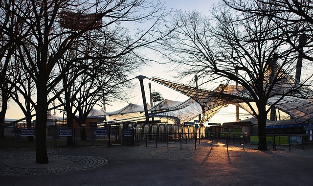 庞俊旭在开 庞俊旭在开